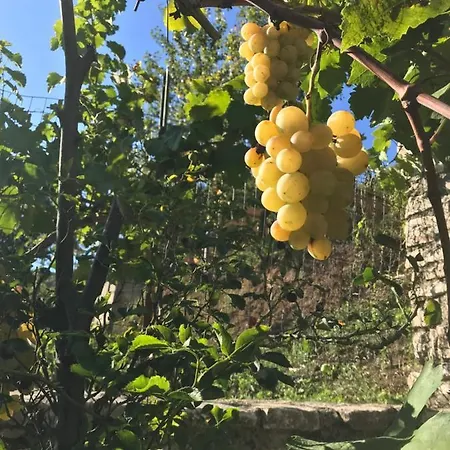 Da Felice Serino (Campania)